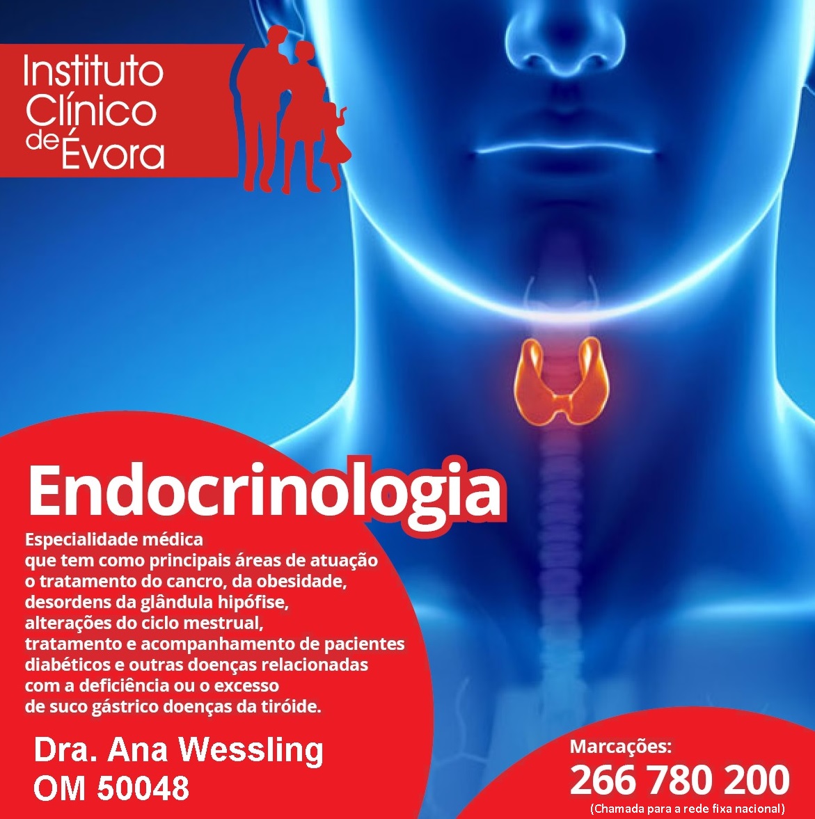 Endocrinologia